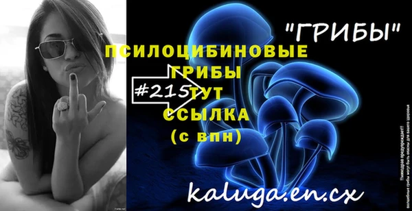 винт Армянск