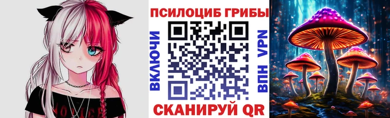 купить наркотики сайты  omg ТОР  Псилоцибиновые грибы прущие грибы  Октябрьск 